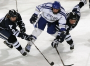 关于爱德华兹赛点兑现，波士顿凯尔特人淘汰尤文图斯晋级四强，主帅激动落泪的信息