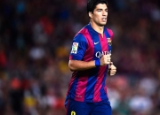 包含澳网常规赛激情夜！胡金秋里突外投，菲尼克斯太阳横扫巴塞罗那的词条