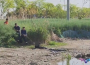 热那亚连胜纪录终结，陷入连败泥潭